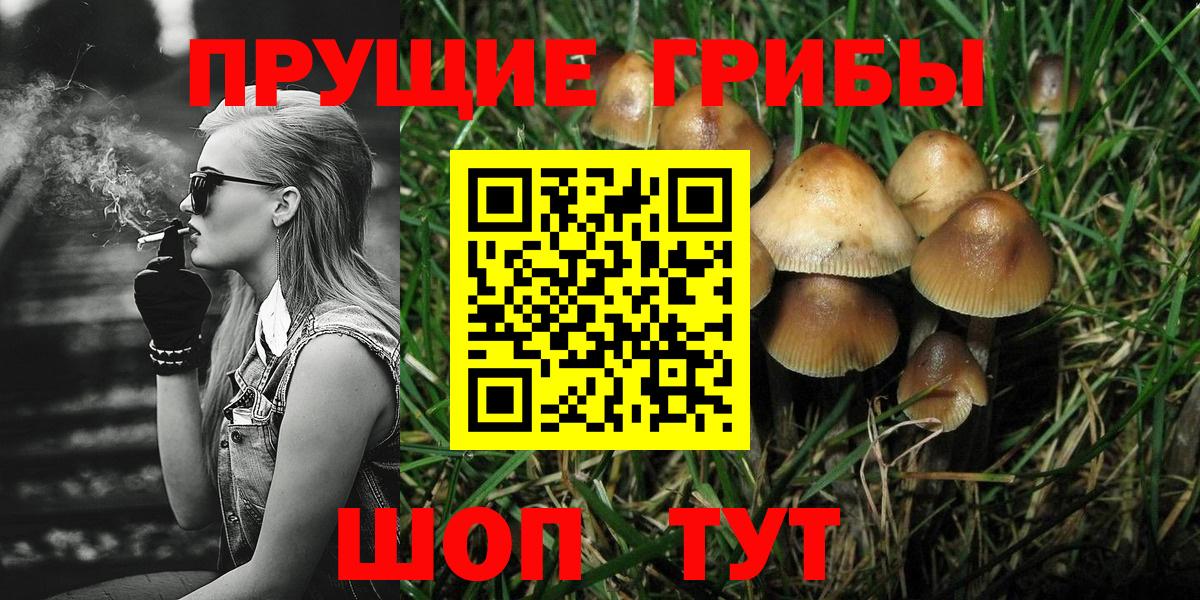 Галлюциногенные грибы MAGIC MUSHROOMS  Вход с VPN  Галлюциногенные грибы GOLDEN TEACHER  Свободный 