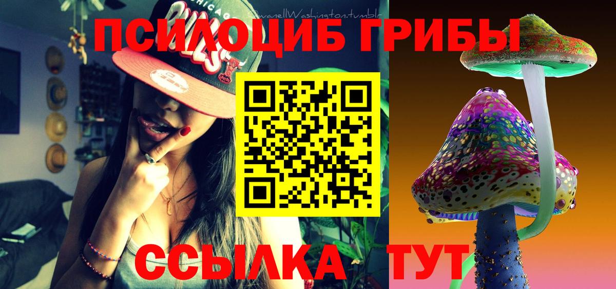 Галлюциногенные грибы GOLDEN TEACHER Свободный